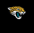 Jaguars Store